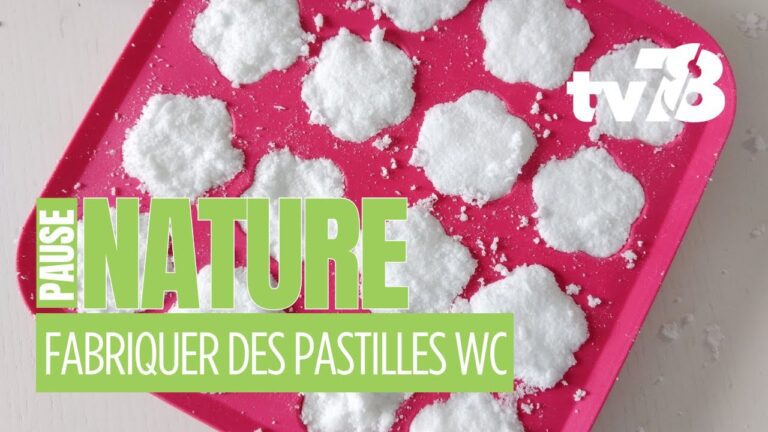 Fabriquez vos pastilles WC maison : la recette zéro déchet de Carole à Neauphle-le-Vieux