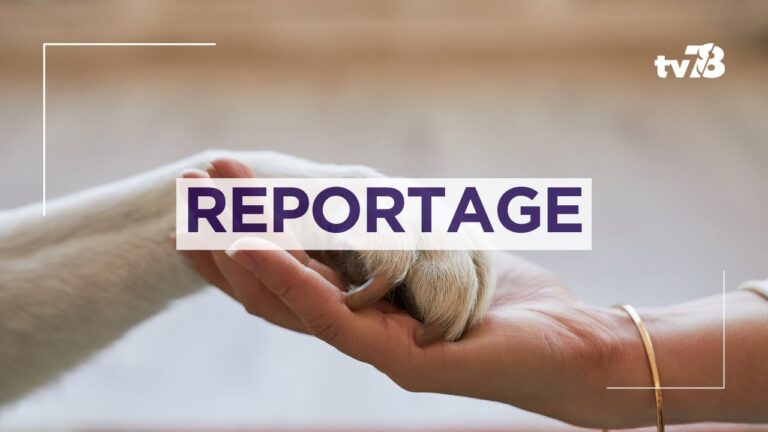 Un lieu de mémoire pour nos fidèles compagnons à Maurepas