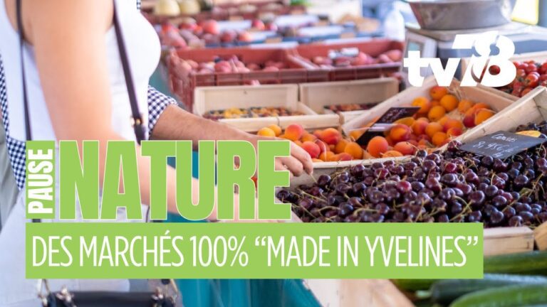 Marché des Producteurs à Neauphle-le-Château : une vitrine vivante du terroir yvelinois