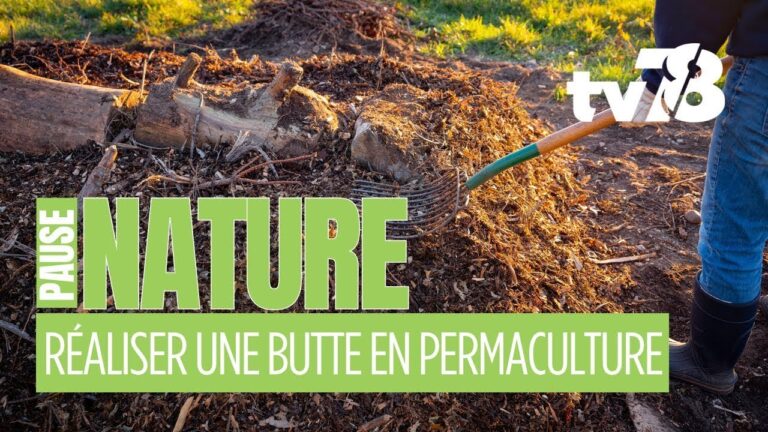 La butte de permaculture, un écosystème fertile et autonome