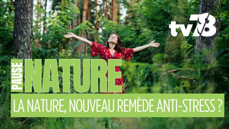 Stress, burn-out : et si la nature devenait votre meilleure alliée ?