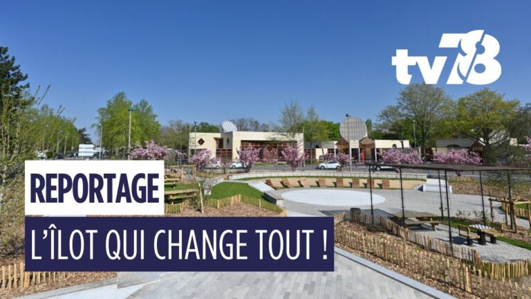 L’Îlot Lewigue : l’espace imaginé par les Guyancourtois