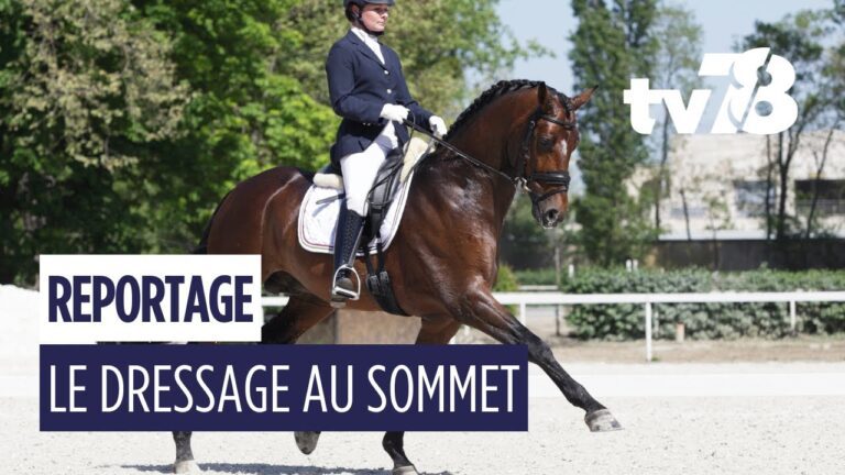 Dressage aux Bréviaires : la Ferme de Corbet à l’honneur