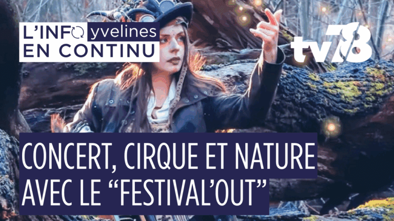 Festival OUT 2025 à Saint-Rémy : trois jours de culture en plein air