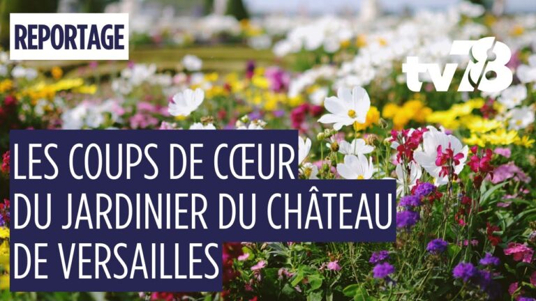 Les coups de cœur d’Alain Baraton dans les jardins du château de Versailles