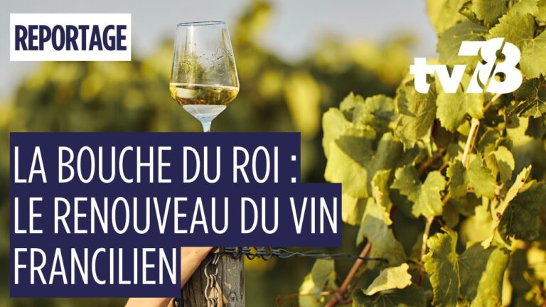 La Bouche du Roi : un domaine viticole d’exception au cœur des Yvelines