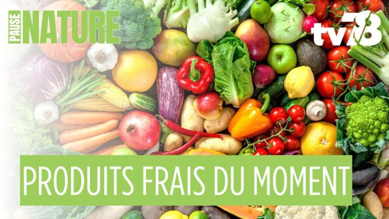 Les rendez-vous