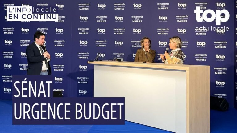 Crise politique : le Sénat tient la barre, les sénatrices des Yvelines alertent