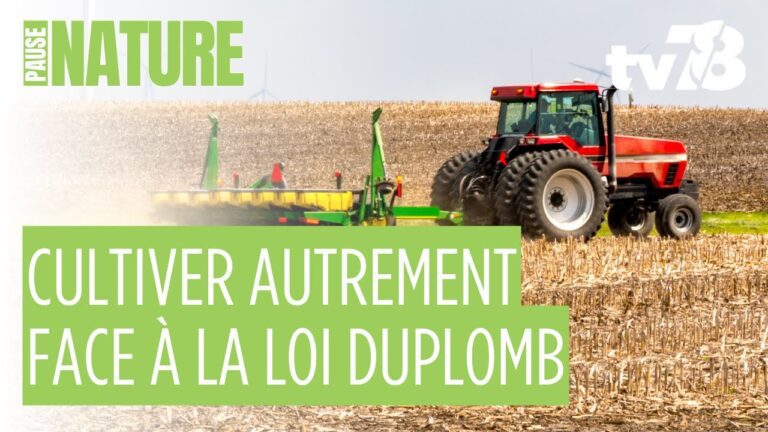 Yvelines : au Jardin Edulis, l’agroécologie comme modèle d’avenir