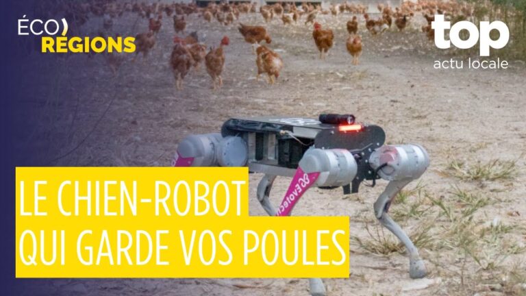 Éco-Régions #4 : E-Doggy le chien-robot, frelon asiatique, hyperfréquences Thales et tourisme en baisse