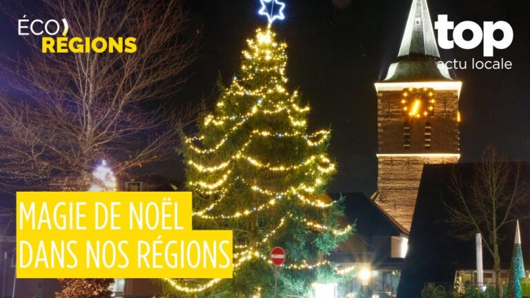 Éco-Régions #13 : sapin géant à Saint-Dizier, trains miniatures en Bretagne, cabaret rural et artisanat des fêtes