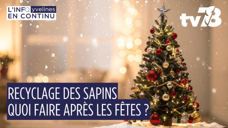 Recyclage des sapins : que deviennent les arbres après les fêtes ?