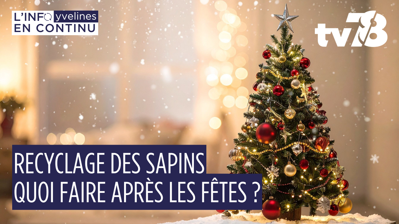 Recyclage des sapins : que deviennent les arbres après les fêtes ?