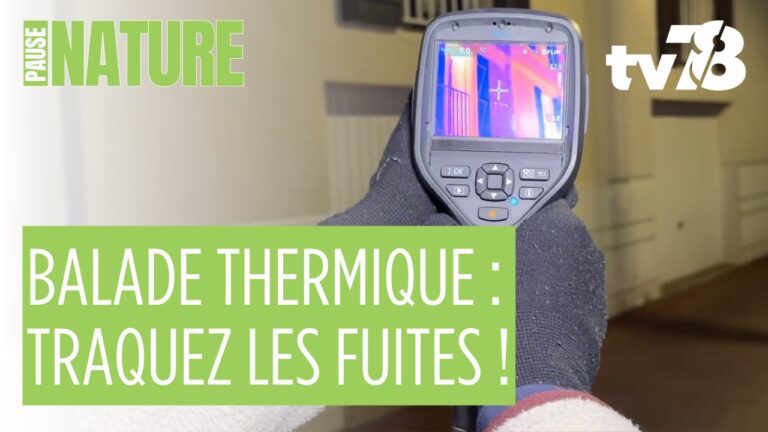 Déperdition thermique : comment savoir si votre logement est concerné ?