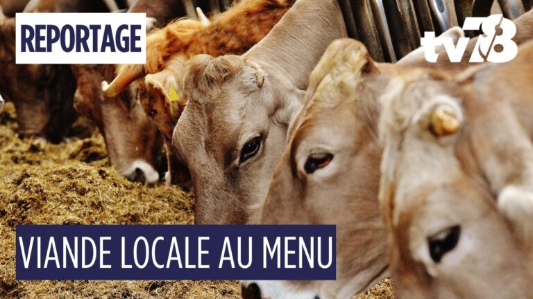 Viande locale dans les collèges des Yvelines : immersion à la ferme du Moulin à Houdan