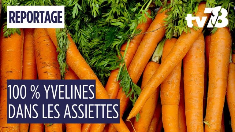 Dans les Yvelines, une ferme du Mantois alimente les cantines en circuit court