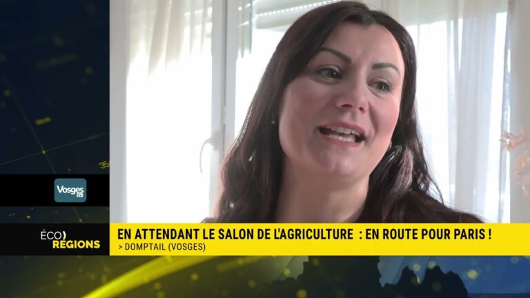 Éco-Régions #17 : cargo à voile géant, tri intelligent des déchets, élevage ovin et écosystème solidaire en Bretagne