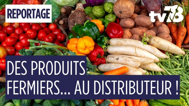 Circuits courts, cantines et soutien aux exploitants : la stratégie agricole du Département des Yvelines