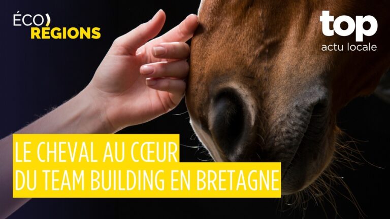 Éco-Régions #18 : Trèfle du Perche vers l’IGP, 20 M€ pour le chanvre, race vosgienne et circuit court dans les Yvelines