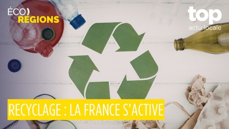 Éco-Régions #19 : tri plastique dans les Vosges, Bergère de France, textile technique dans l’Aube et reconversion en crêpier