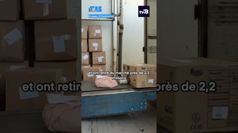 Douanes en Île-de-France : un bilan 2025 marqué par des saisies record