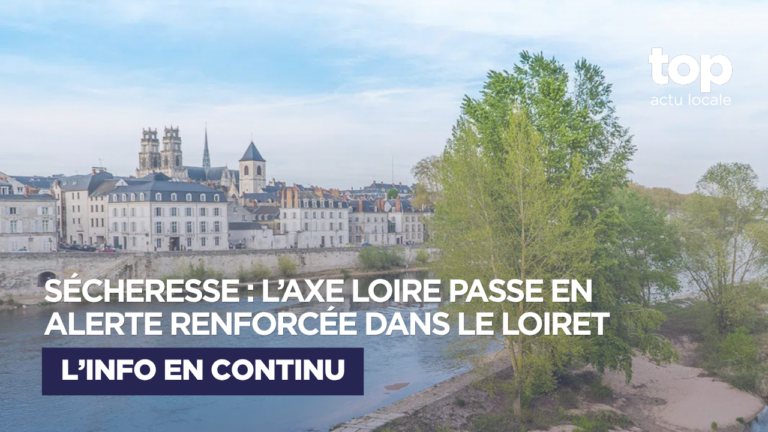 Sécheresse : l’axe Loire passe en alerte renforcée dans le Loiret