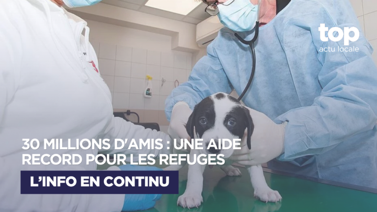 La Fondation 30 Millions d’Amis débloque 2,4 millions d’euros pour soutenir 243 refuges en France