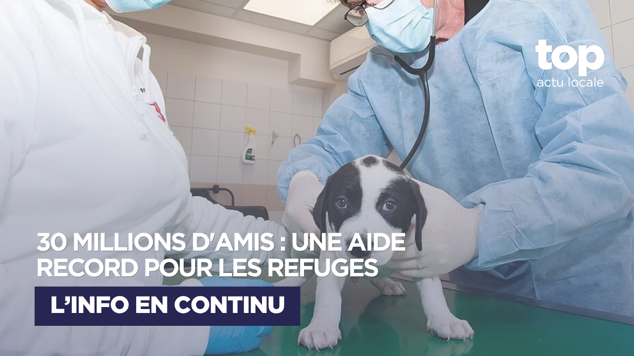 La Fondation 30 Millions d’Amis débloque 2,4 millions d’euros pour soutenir 243 refuges en France
