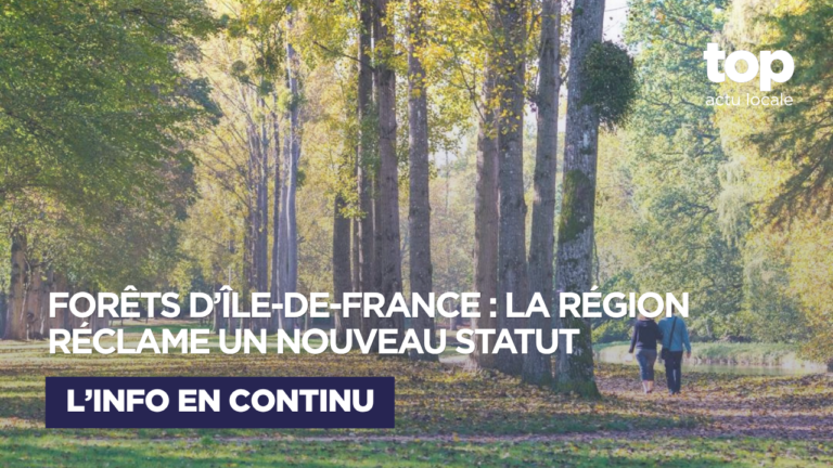 Forêts franciliennes : la Région veut reprendre la main sur la gestion des grands massifs publics