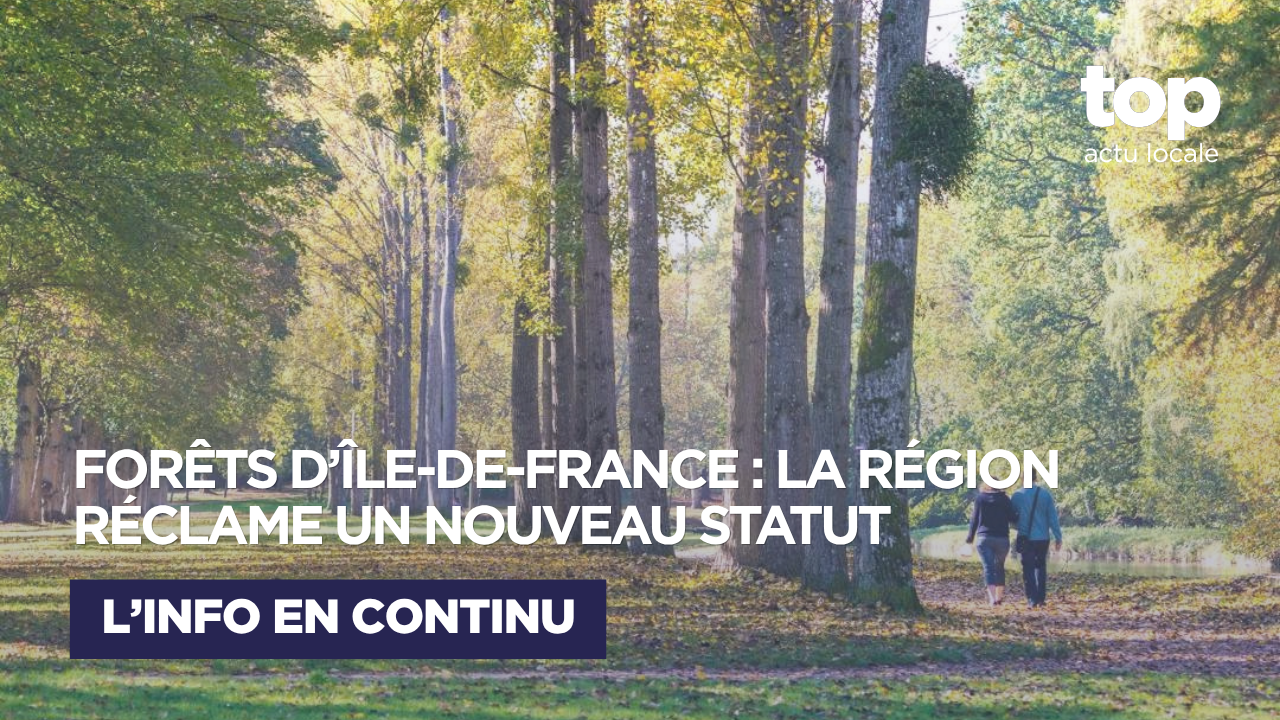 Forêts franciliennes : la Région veut reprendre la main sur la gestion des grands massifs publics